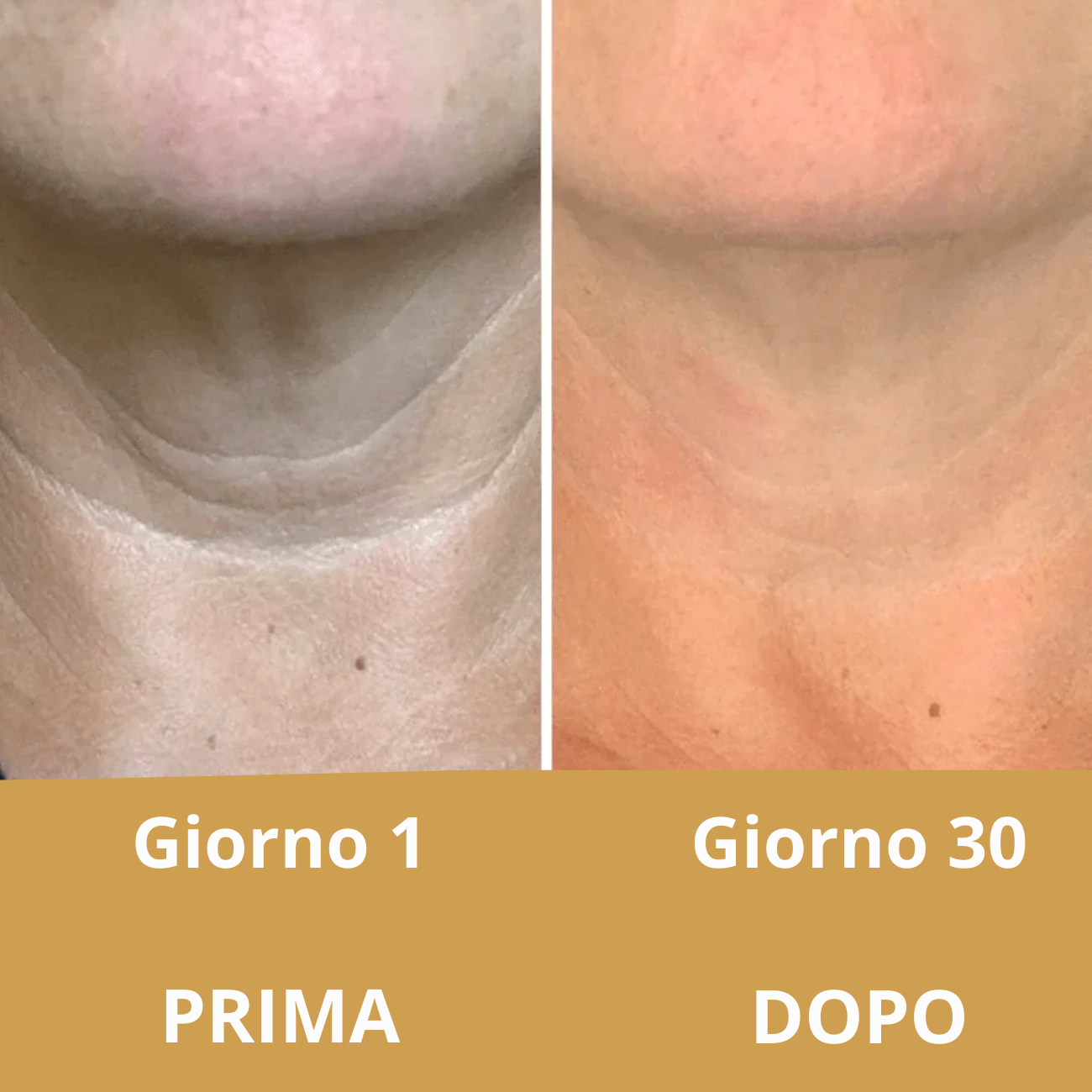 Oravia Firming Neck Cream